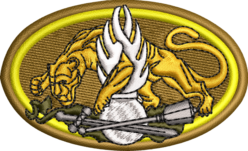 EMBLEMA INSTRUCTOR JANDARMI - de piept